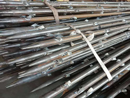 樱花草免费观看高清视频日本图片