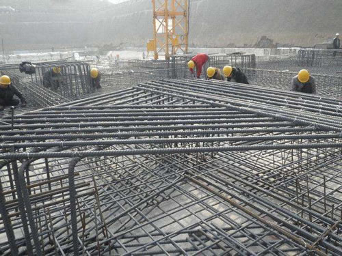 樱花草日本在线视频播放