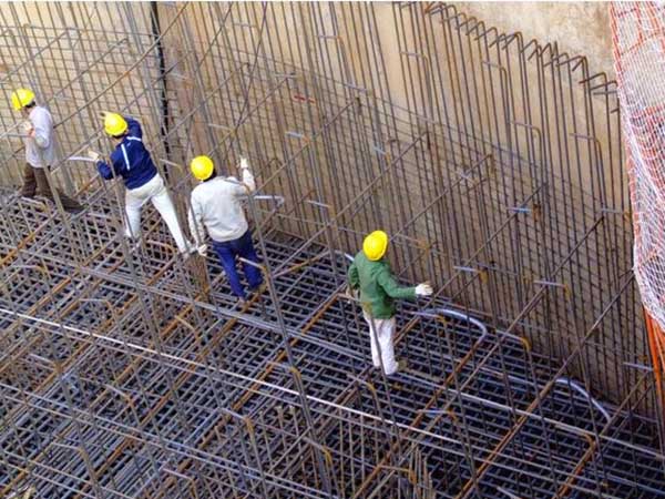 樱花草日本在线视频播放