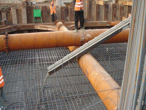 樱花草日本在线视频播放